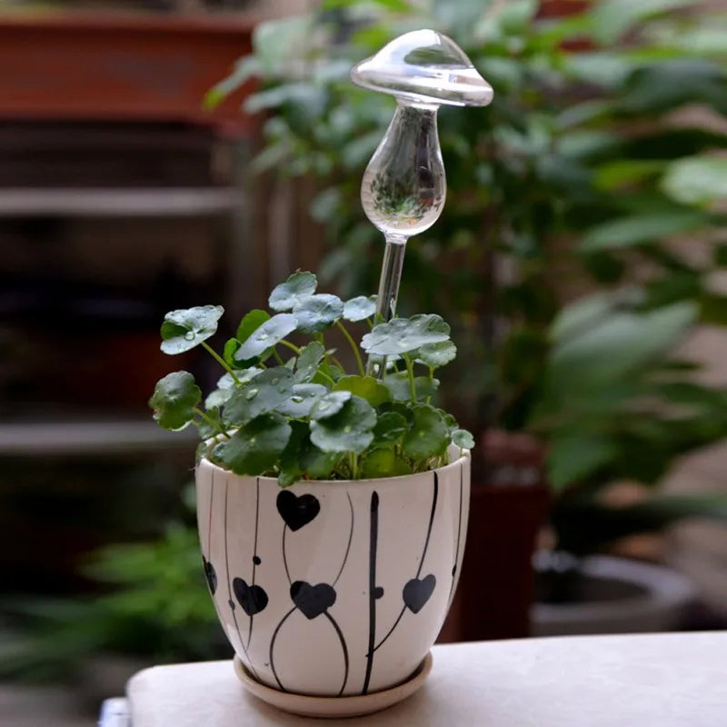 8 Houseplant Self Watering Glass Plant Adornments