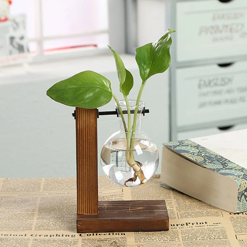 Terrarium Hydroponic Transparent Plant Vase with Wooden Frame