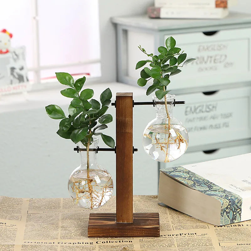 Terrarium Hydroponic Transparent Plant Vase with Wooden Frame