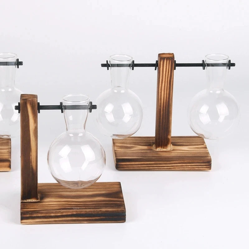 Terrarium Hydroponic Transparent Plant Vase with Wooden Frame