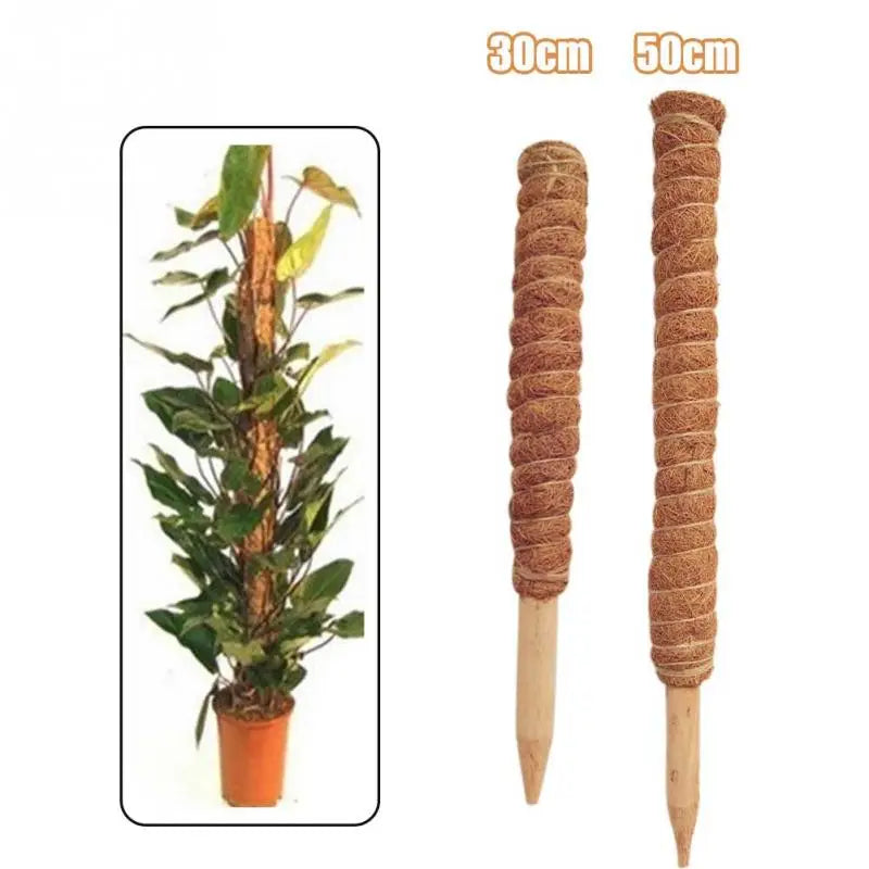Coconut Fiber Plant Support Totem for Indoor Climbing Plants