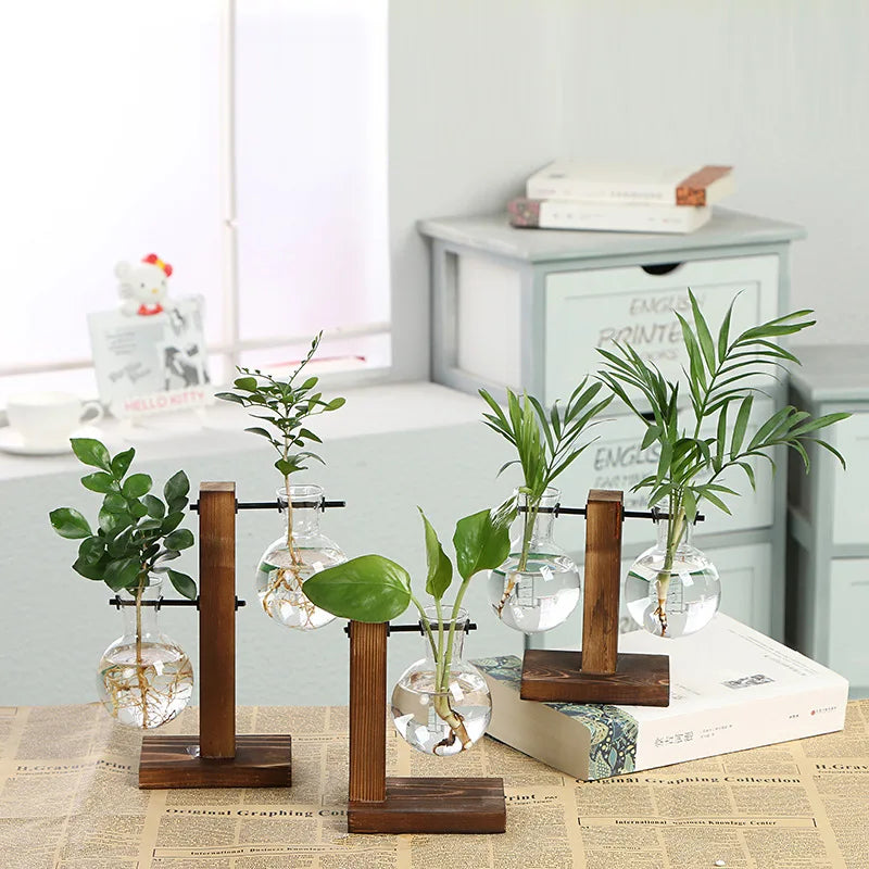 Terrarium Hydroponic Transparent Plant Vase with Wooden Frame