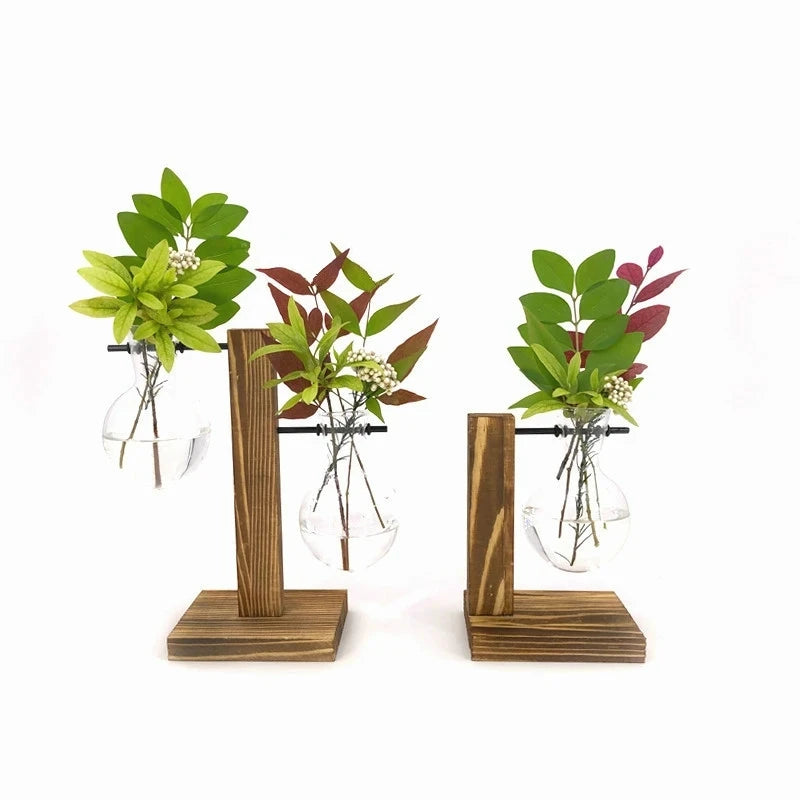 Terrarium Hydroponic Transparent Plant Vase with Wooden Frame