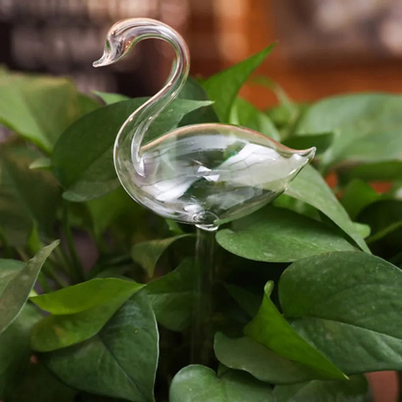 8 Houseplant Self Watering Glass Plant Adornments