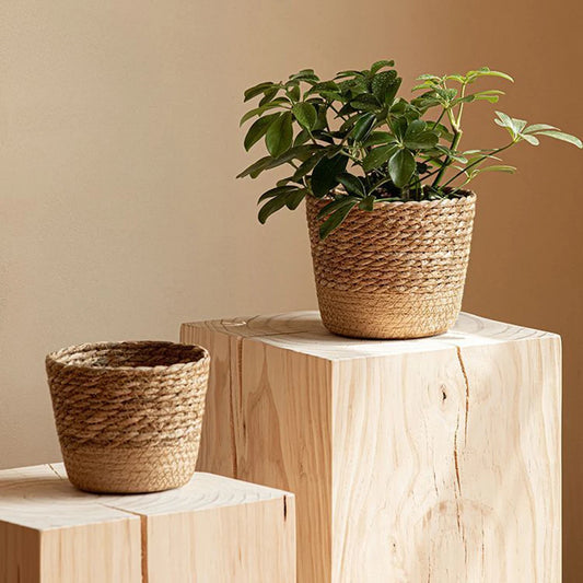 Seagrass Woven Wicker Rattan Planter Basket