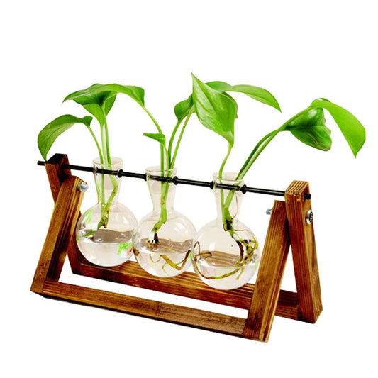 Terrarium Creative Hydroponic Plant Transparent Vase Wooden Frame