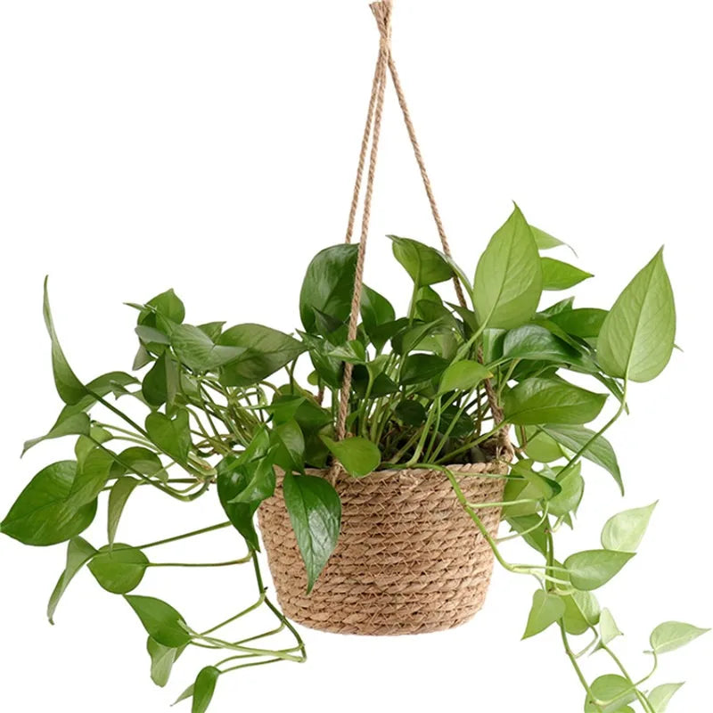 Hanging Woven Rope Planter for Indoor/Outdoor